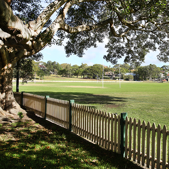  Birchgrove Park sports ground tree view